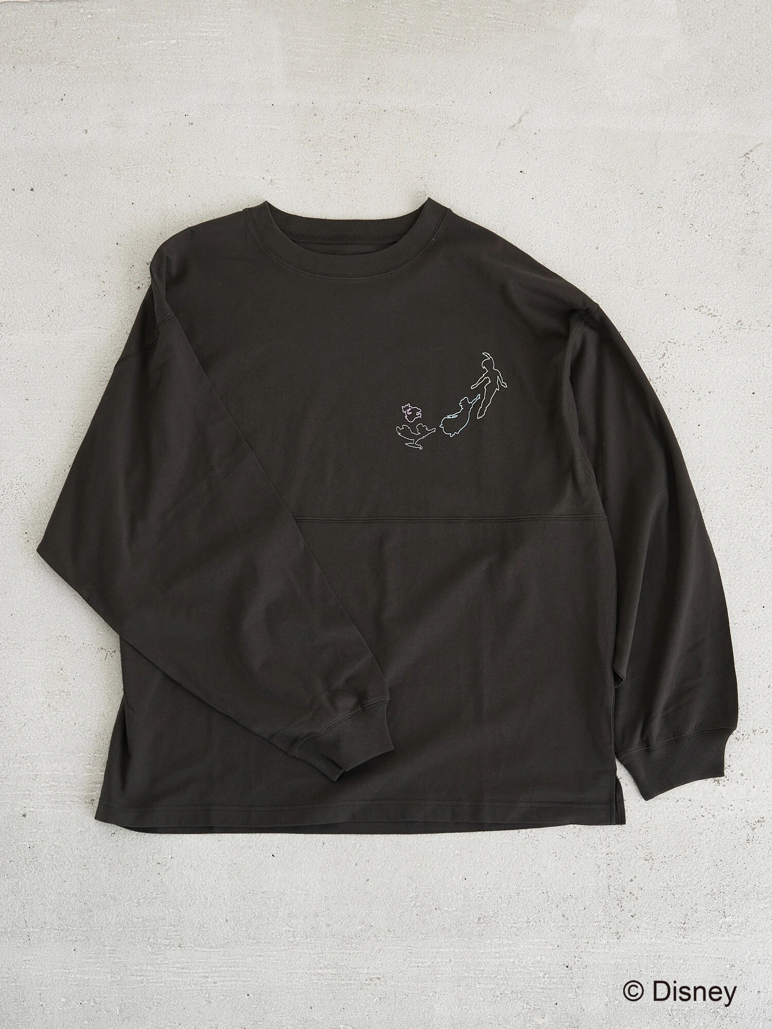 【6,000円(税込)以上のお買物で全国送料無料。】peterpan long sleeve tshirts