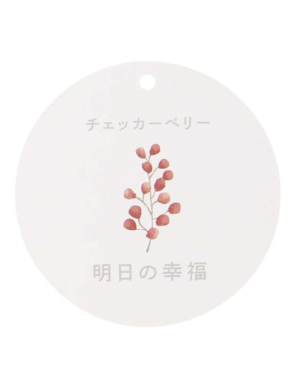 冬の花言葉のあるスカート アイボリー グレー ブラウン グリーン Earth Music Ecology アースミュージックアンドエコロジー のレディーススカート 1b94l0l0400 ファッション通販のstripe Club