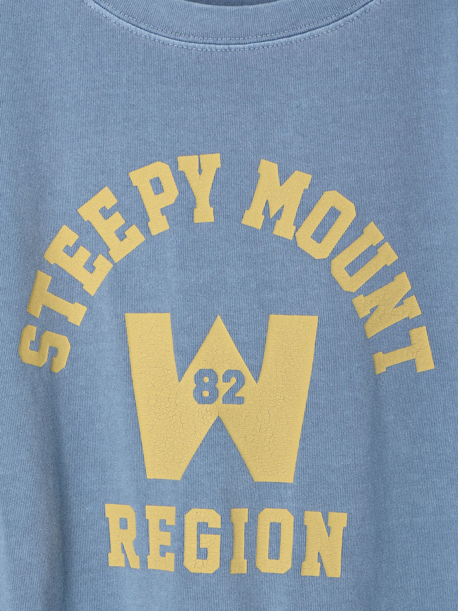 ロゴピグメントtee アイボリー グリーン ブルー American Holic アメリカンホリック のレディースtシャツ Ha22l1c3500 ファッション通販のstripe Club