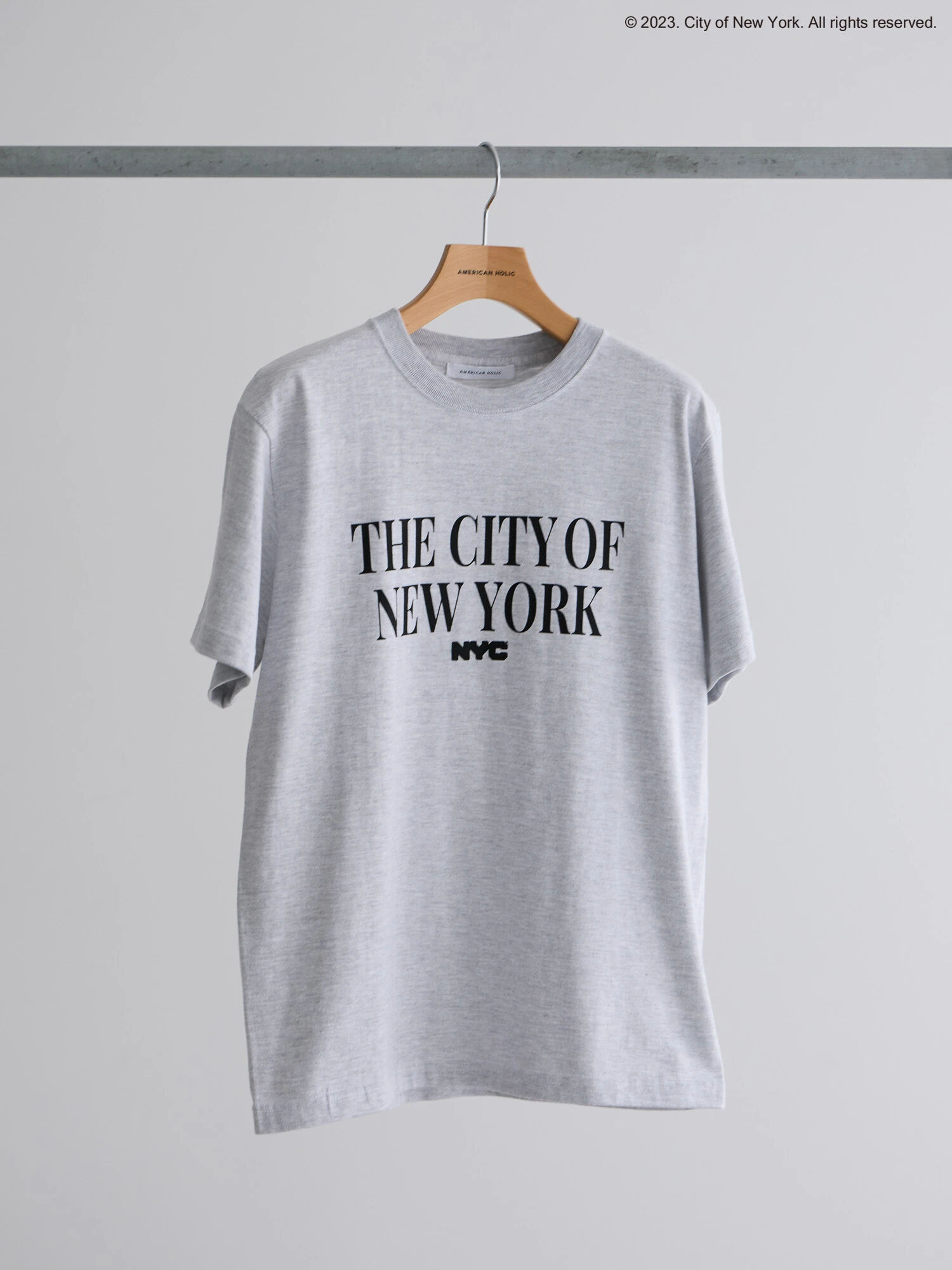 アウトレット】THE CITY OF NEW YORK TEE（ライトグレー） / AMERICAN