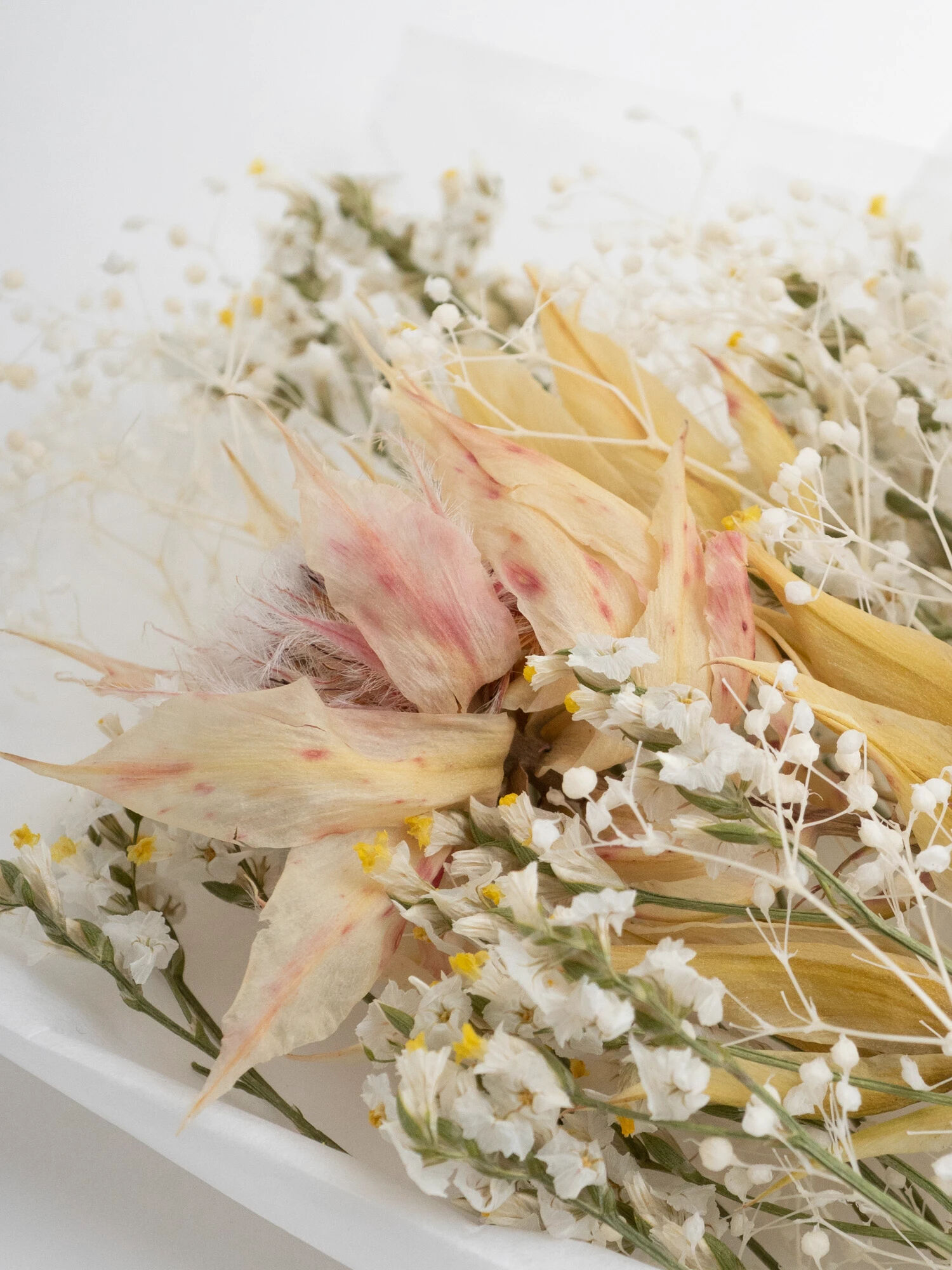 セルリアのミニブーケ ホワイト ノモナキスのレディースインテリア Qp13zcm2910 ファッション通販のstripe Club